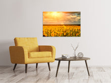 Load image into Gallery viewer, Canvas print Golden Light Sunflower