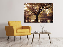 Load image into Gallery viewer, Canvas print Landscape Park