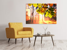 Load image into Gallery viewer, Canvas print Autumn