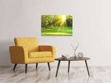 Load image into Gallery viewer, Canvas print In The Park