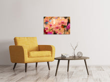 Load image into Gallery viewer, Canvas print Exotic Orchids