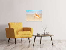 Load image into Gallery viewer, Canvas print The Shell On The Beach