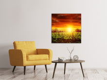Load image into Gallery viewer, Canvas print The Vineyard At Sunset