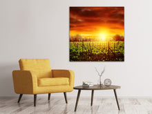 Load image into Gallery viewer, Canvas print The Vineyard At Sunset