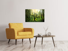Load image into Gallery viewer, Canvas print Dreamy Forest