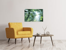 Load image into Gallery viewer, Canvas print Jungle Star