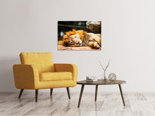 Load image into Gallery viewer, Canvas print Relaxed Lion