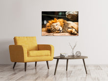 Load image into Gallery viewer, Canvas print Relaxed Lion