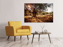 Load image into Gallery viewer, Canvas print Olive Grove