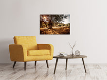 Load image into Gallery viewer, Canvas print Olive Grove