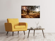 Load image into Gallery viewer, Canvas print Olive Grove