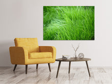 Load image into Gallery viewer, Canvas print Blades Of Grass