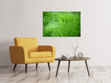 Load image into Gallery viewer, Canvas print Blades Of Grass