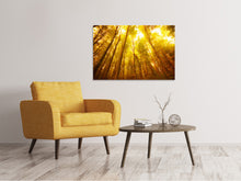 Load image into Gallery viewer, Canvas print Autumn Forest