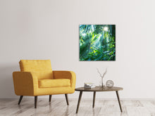 Load image into Gallery viewer, Canvas print In Tropical Forest