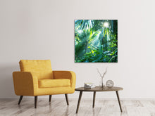 Load image into Gallery viewer, Canvas print In Tropical Forest