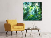 Load image into Gallery viewer, Canvas print In Tropical Forest