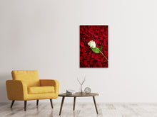 Load image into Gallery viewer, Canvas print Bed Of Roses