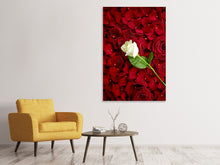 Load image into Gallery viewer, Canvas print Bed Of Roses