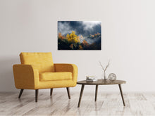 Load image into Gallery viewer, Canvas print Moonlight Forest