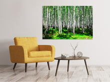 Load image into Gallery viewer, Canvas print Summerly Birch Forest