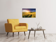 Load image into Gallery viewer, Canvas print A Flower Field At Sunrise