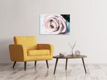 Load image into Gallery viewer, Canvas print Pastel Rose