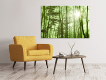 Load image into Gallery viewer, Canvas print Nibelungen Forest