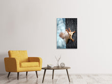 Load image into Gallery viewer, Canvas print The Squirrel