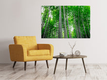 Load image into Gallery viewer, Canvas print Bamboo Forest