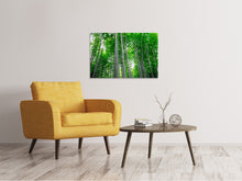 Load image into Gallery viewer, Canvas print Bamboo Forest