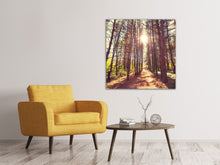 Load image into Gallery viewer, Canvas print Light At The End Of The Forest Path