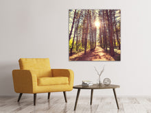 Load image into Gallery viewer, Canvas print Light At The End Of The Forest Path
