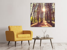 Load image into Gallery viewer, Canvas print Light At The End Of The Forest Path
