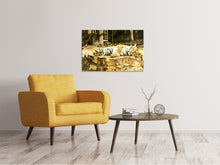 Load image into Gallery viewer, Canvas print The Siberian Tiger