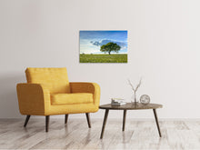 Load image into Gallery viewer, Canvas print Spring Tree