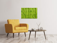 Load image into Gallery viewer, Canvas print Bamboo Wall