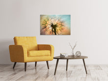 Load image into Gallery viewer, Canvas print XXL Dandelion