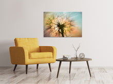Load image into Gallery viewer, Canvas print XXL Dandelion