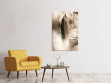 Load image into Gallery viewer, Canvas print Feathers