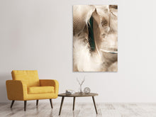 Load image into Gallery viewer, Canvas print Feathers