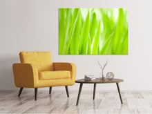 Load image into Gallery viewer, Canvas print Grass XXL