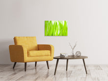 Load image into Gallery viewer, Canvas print Grass XXL