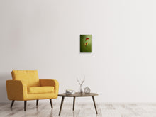 Load image into Gallery viewer, Canvas print 3 Callas