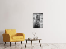 Load image into Gallery viewer, Canvas print Horse Being At The Corridor