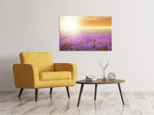 Load image into Gallery viewer, Canvas print Sunset In Lavender Field