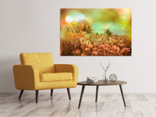 Load image into Gallery viewer, Canvas print Flower Meadow At Twilight