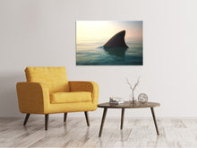 Load image into Gallery viewer, Canvas print Shark Fin