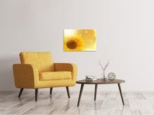 Load image into Gallery viewer, Canvas print Sunflower in Morning dew
