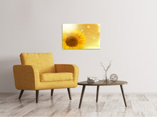 Load image into Gallery viewer, Canvas print Sunflower in Morning dew